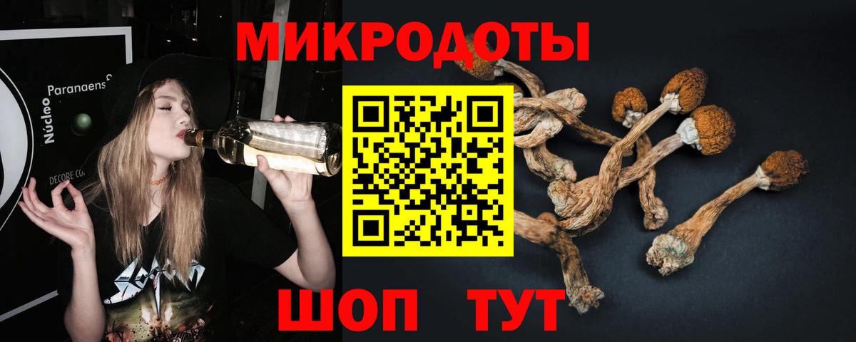 Свободный  Псилоцибиновые грибы Psilocybine cubensis  Вход с VPN 